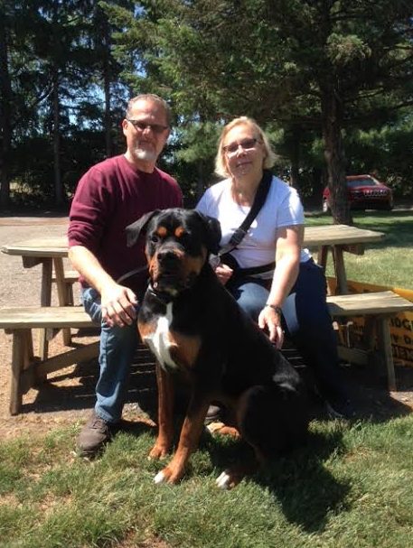 Newman S Dog Training Newman S Dog Training